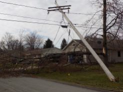 High winds took down trees and power lines causing power outages