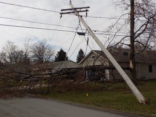High winds took down trees and power lines causing power outages